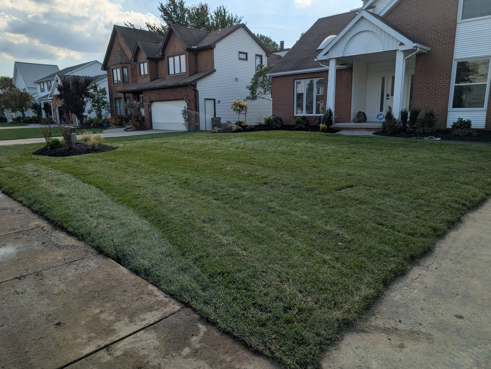 Sod installation in Tonawanda